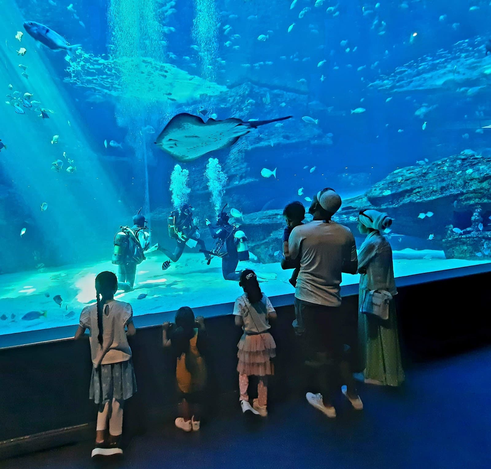 South Africa Package 8 Days 5