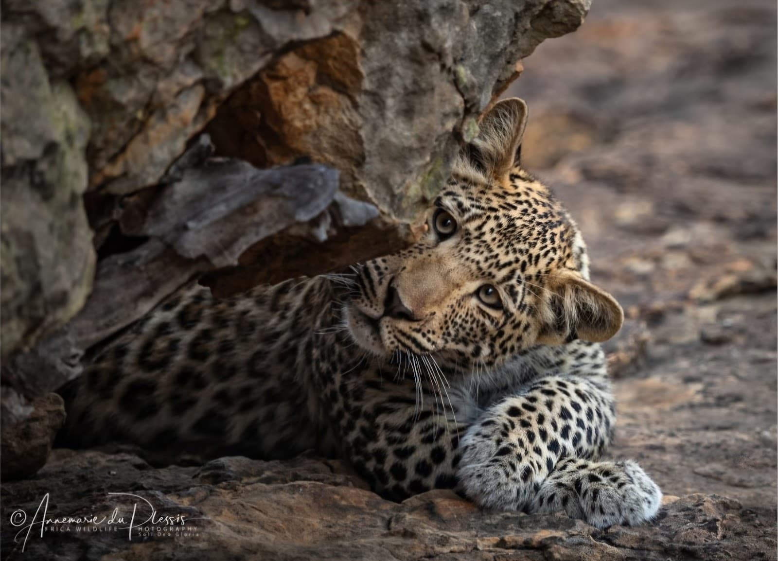 South Africa Package 11 Days 6