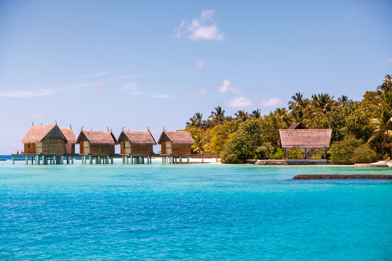 Constance Moofushi 3