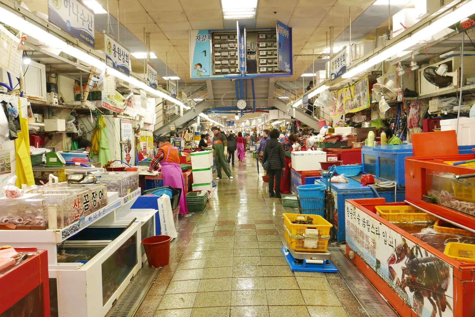 South Korea Package 10 Days 10