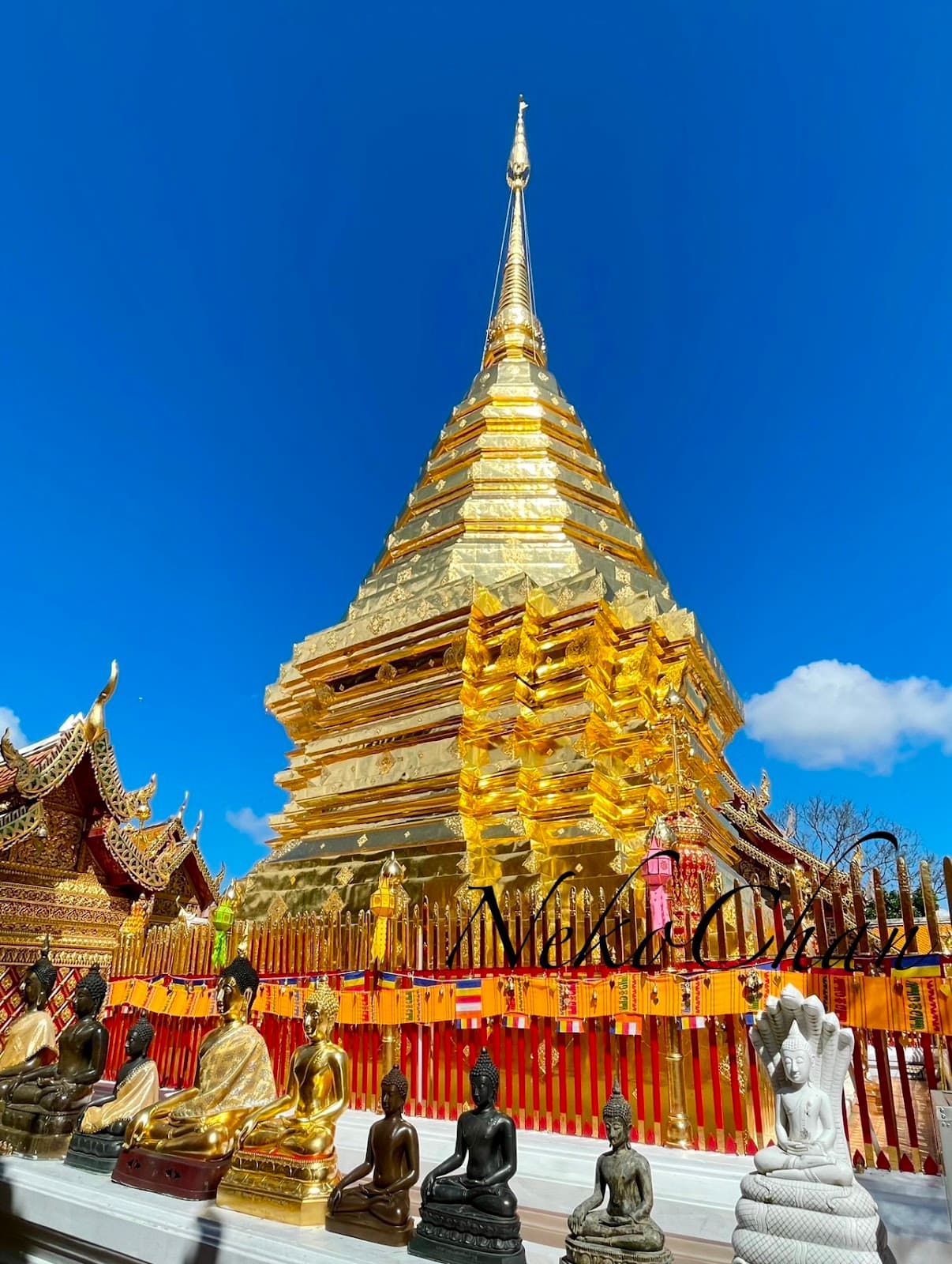 Thailand Package 10 Days 3