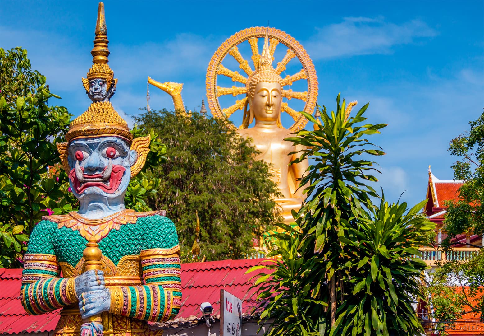 Thailand Package 10 Days 6