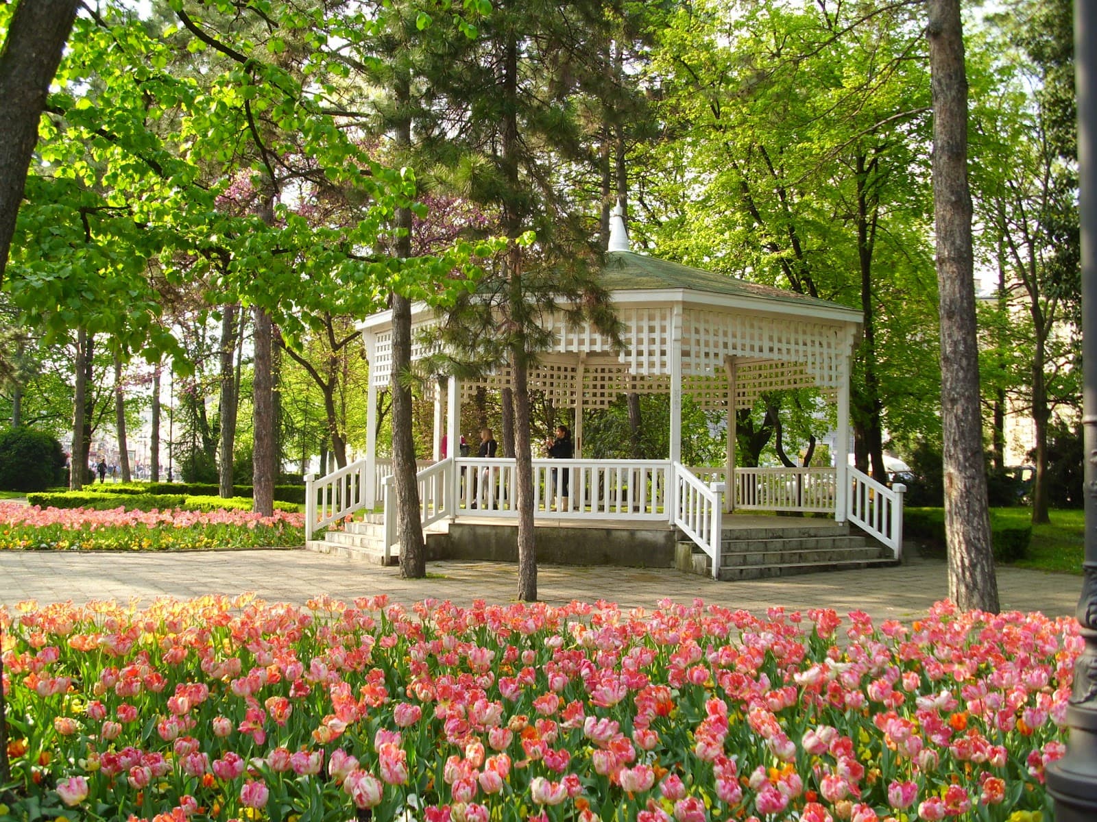 Belgrade, Novi Sad - 6 nights 5