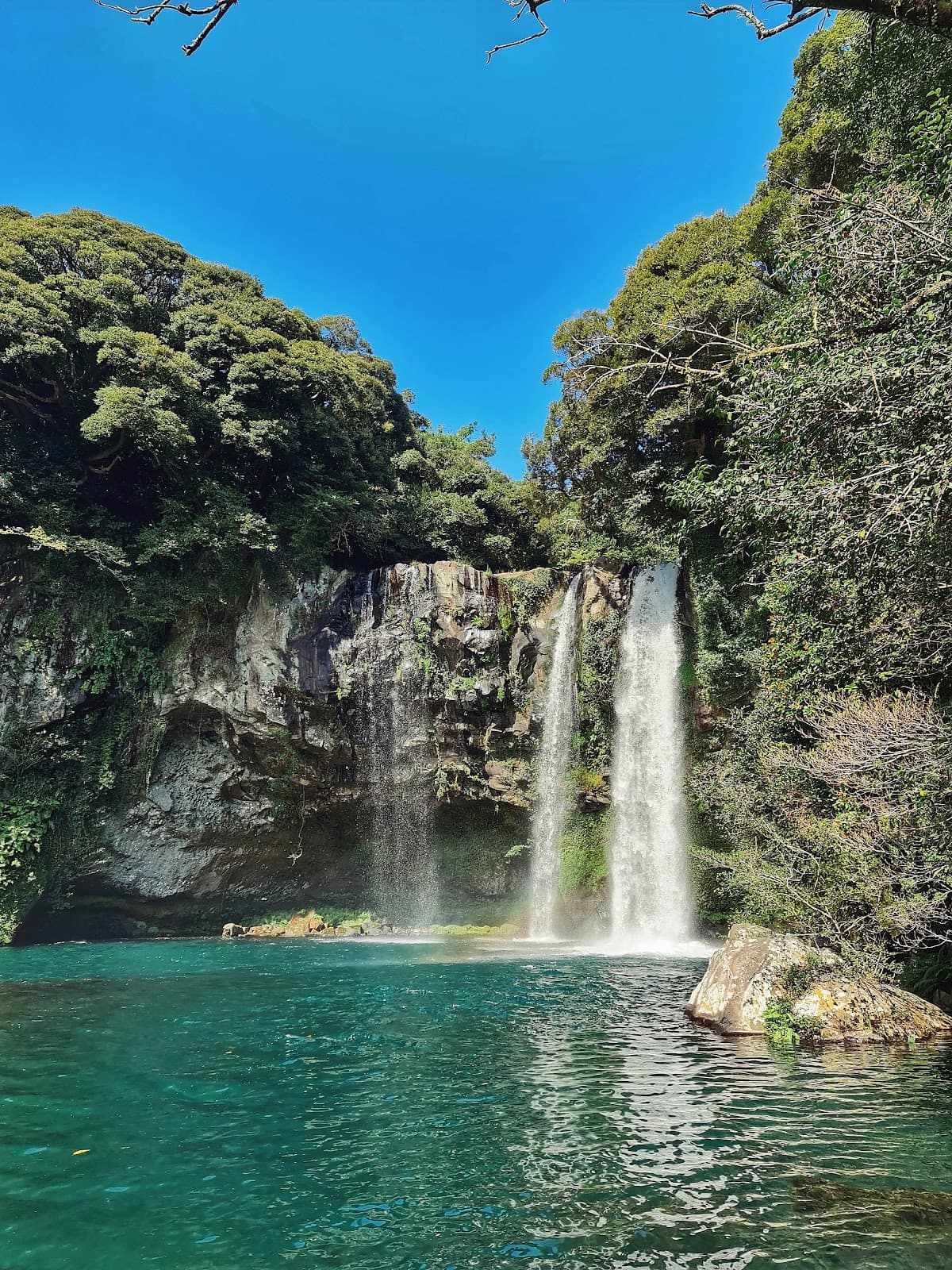 بكج كوريا الجنوبية 11 يوم 5