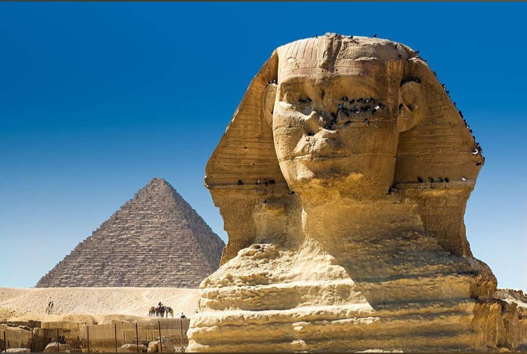 A close-up view of the Great Sphinx of Giza with a pyramid standing majestically in the background under a clear blue sky.
