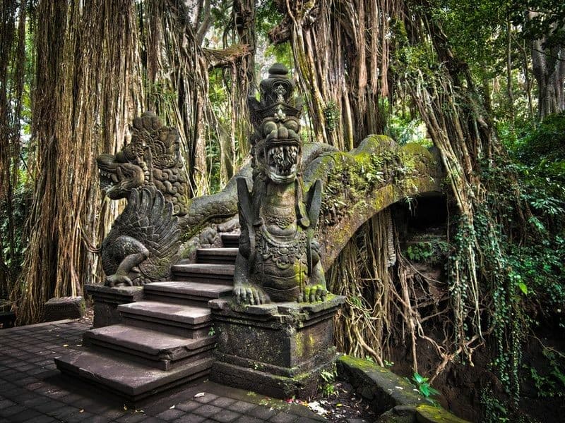 Indonesia Package 11 Days 4