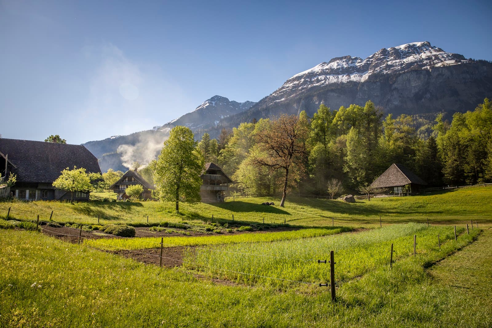 Switzerland Package 11 Days 12