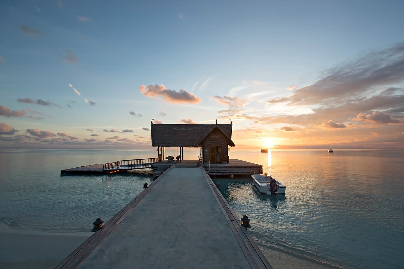 Constance Moofushi 5