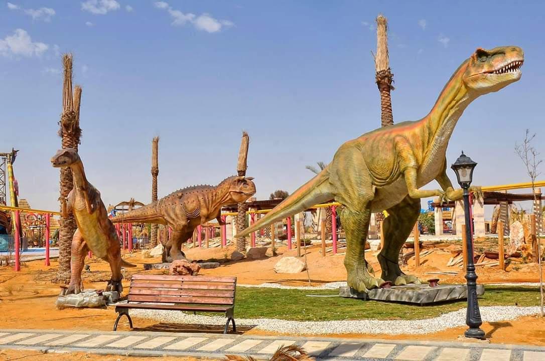 بكج مصر 12 يوم 10