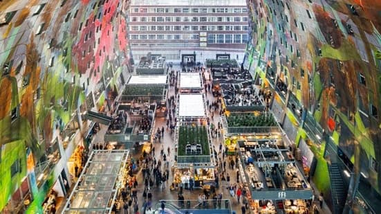 Netherlands Package 8 Days 11