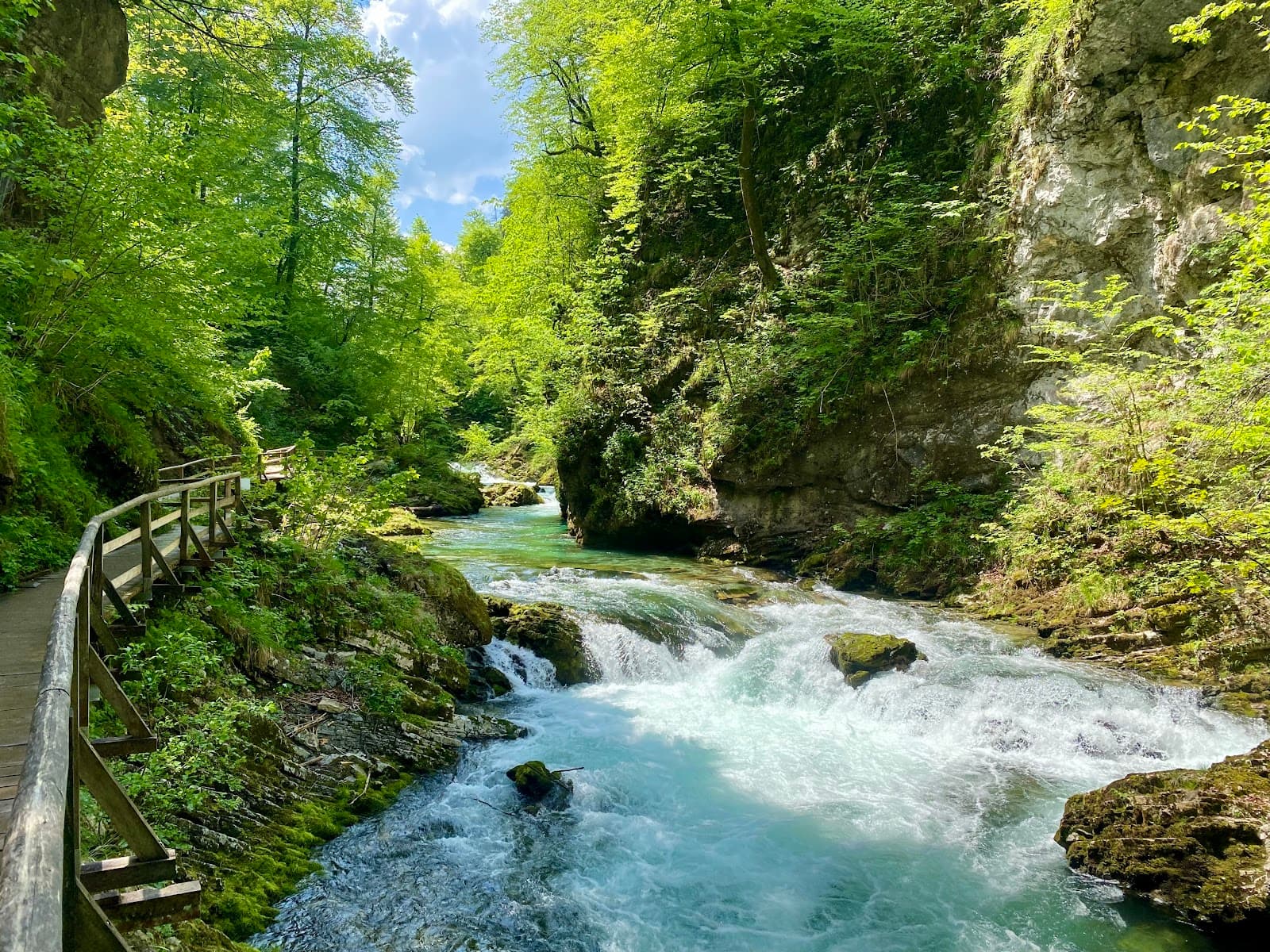 Wooden walkways along the turquoise Radovna River in Vintgar Gorge.