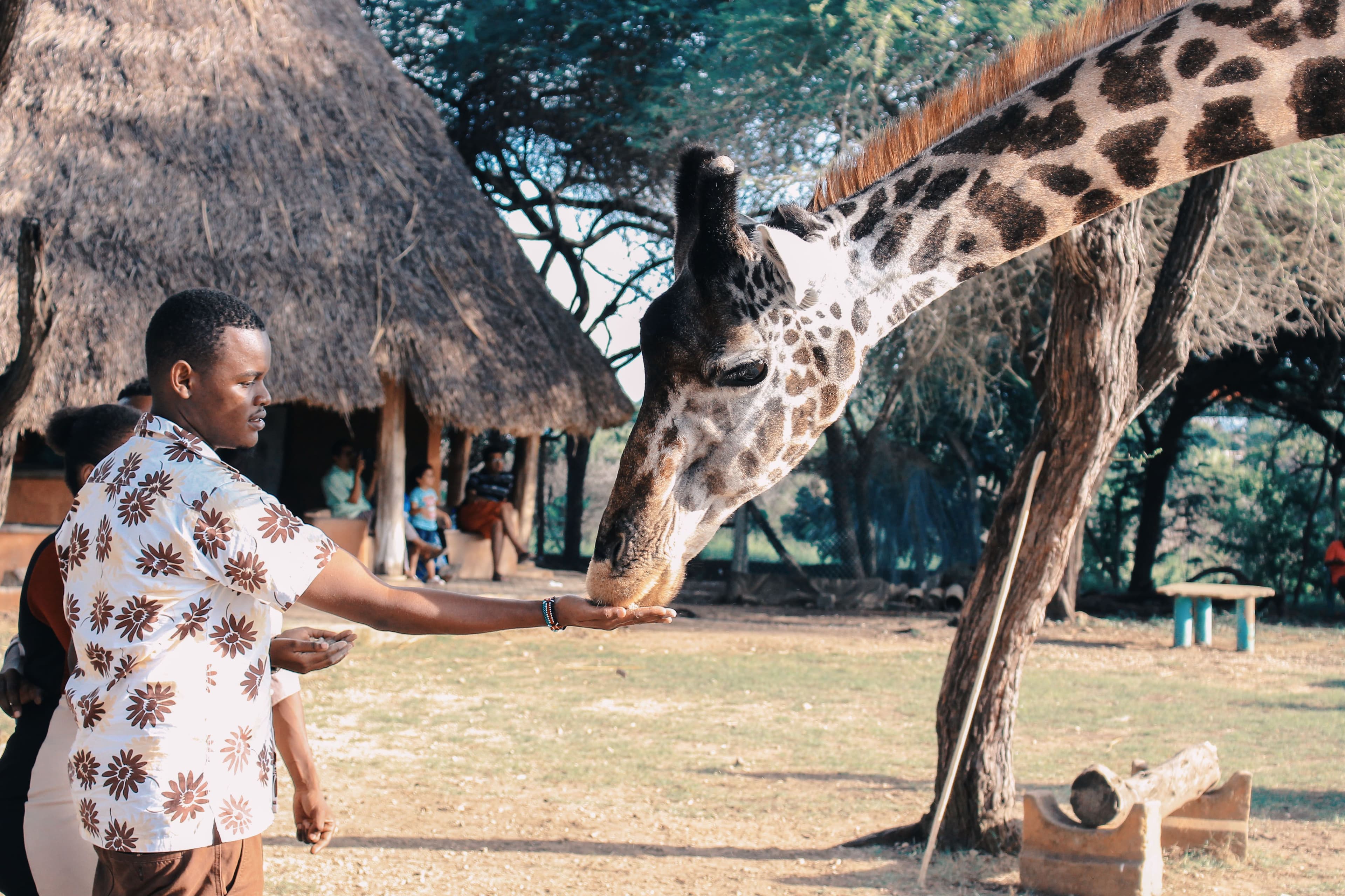 Kenya & Tanzania - 10 nights 2