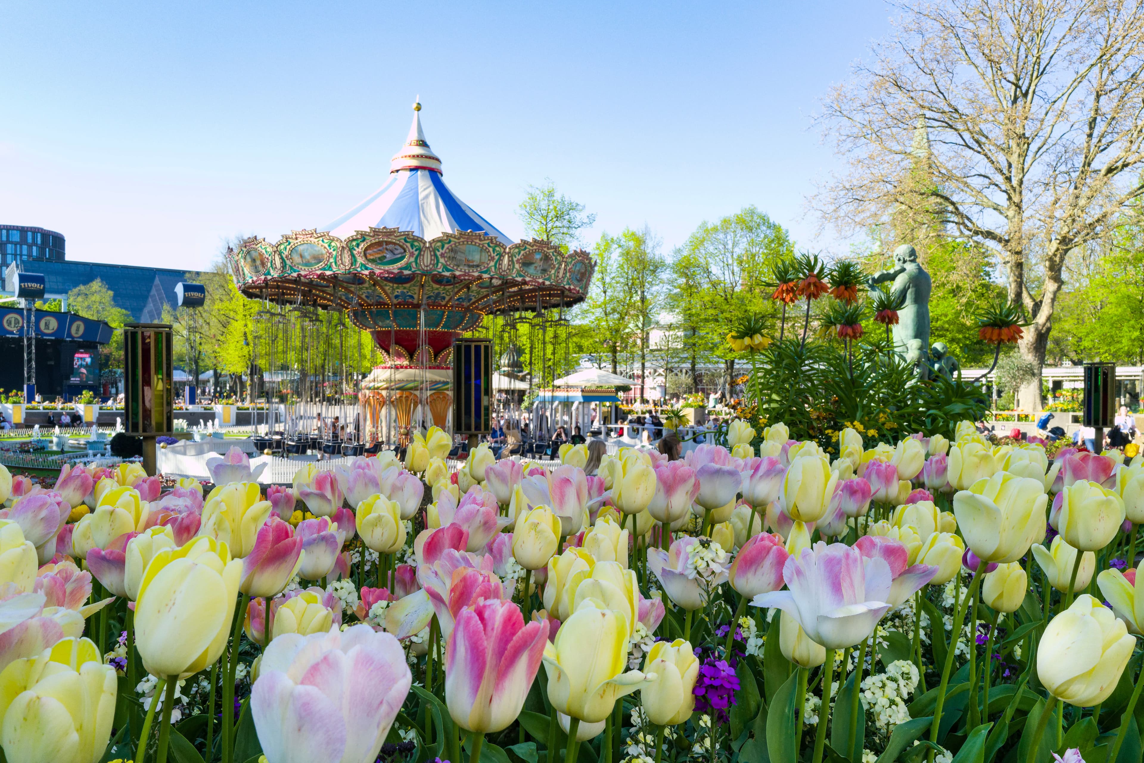 Spring tulips frame a vintage carousel at Tivoli Gardens, Copenhagen.