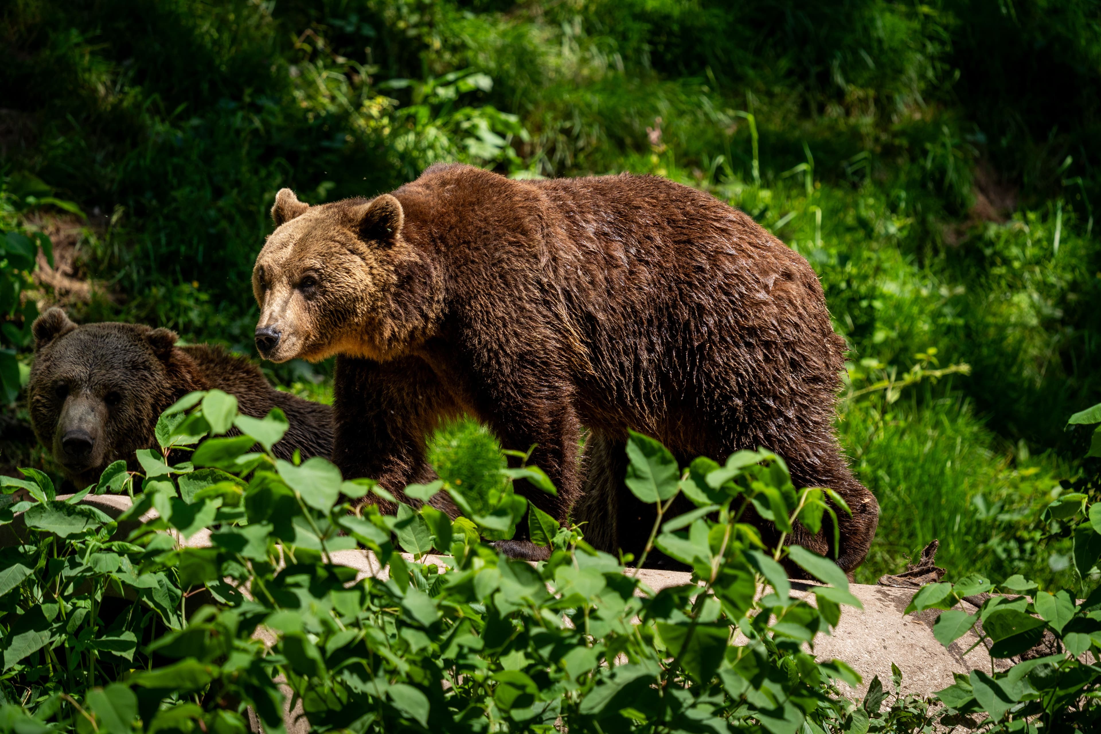 Skopje, Pristina - 7 nights 3