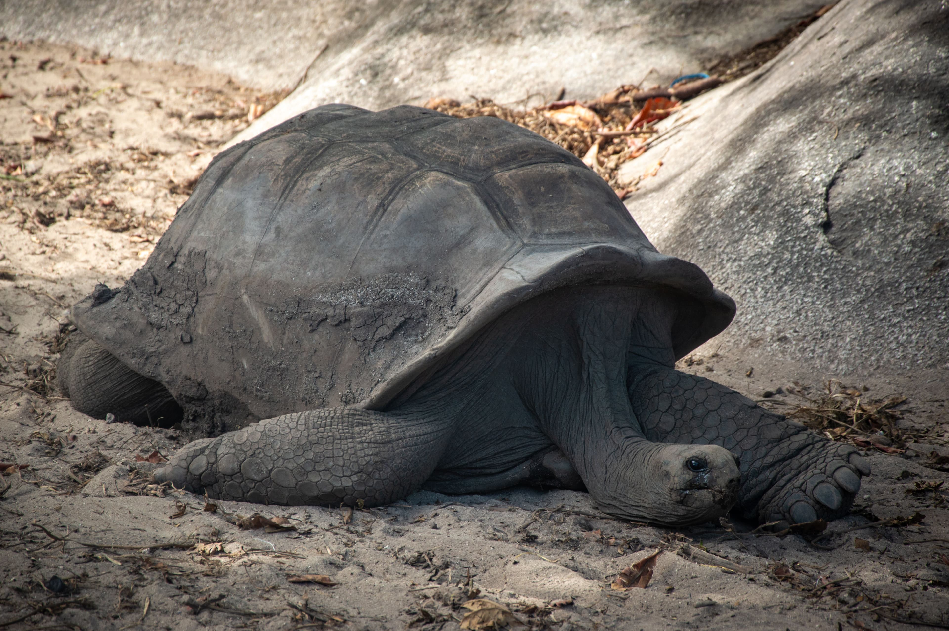 Kenya & Tanzania - 10 nights 6