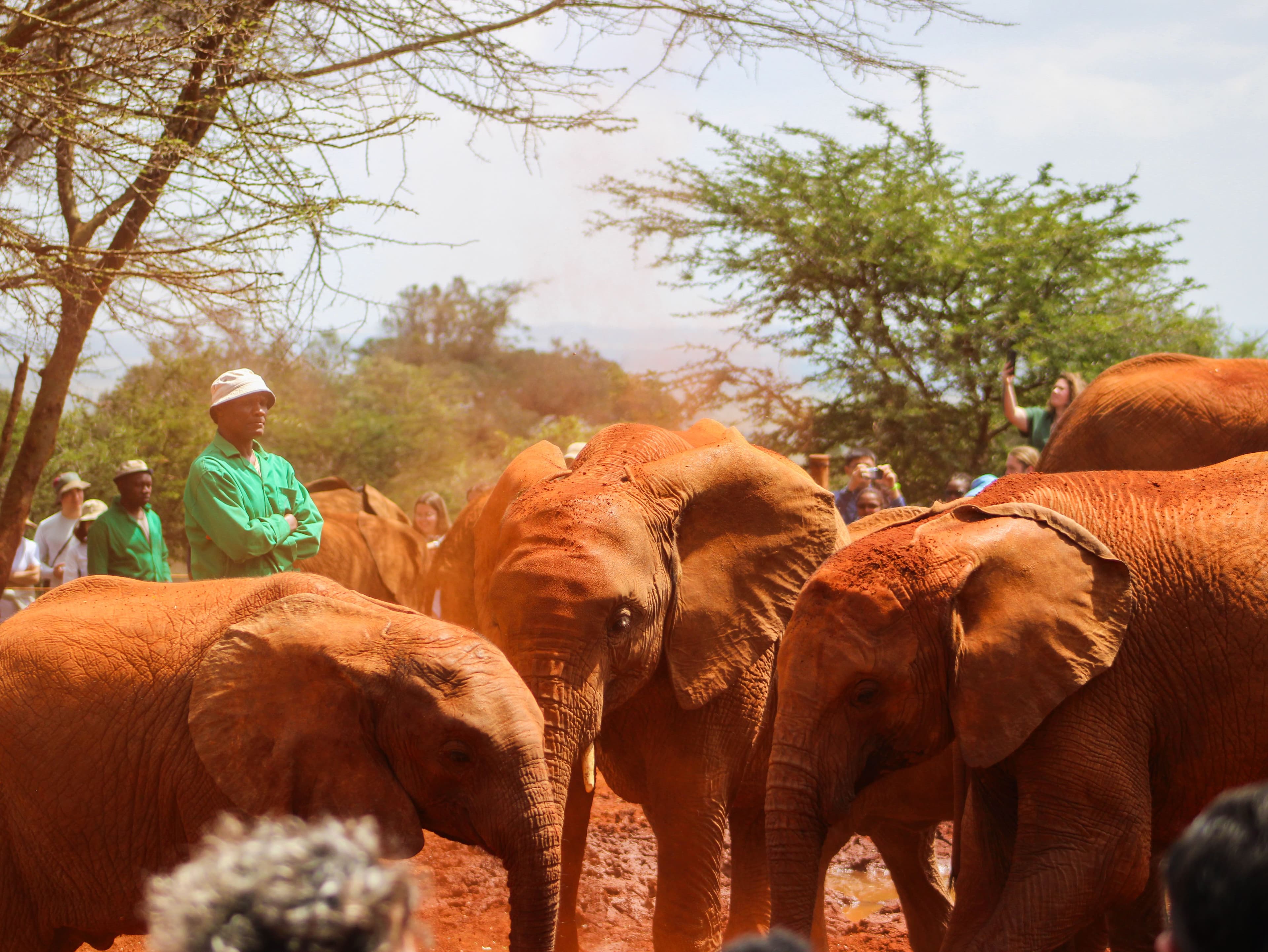 Kenya & Tanzania - 10 nights 3