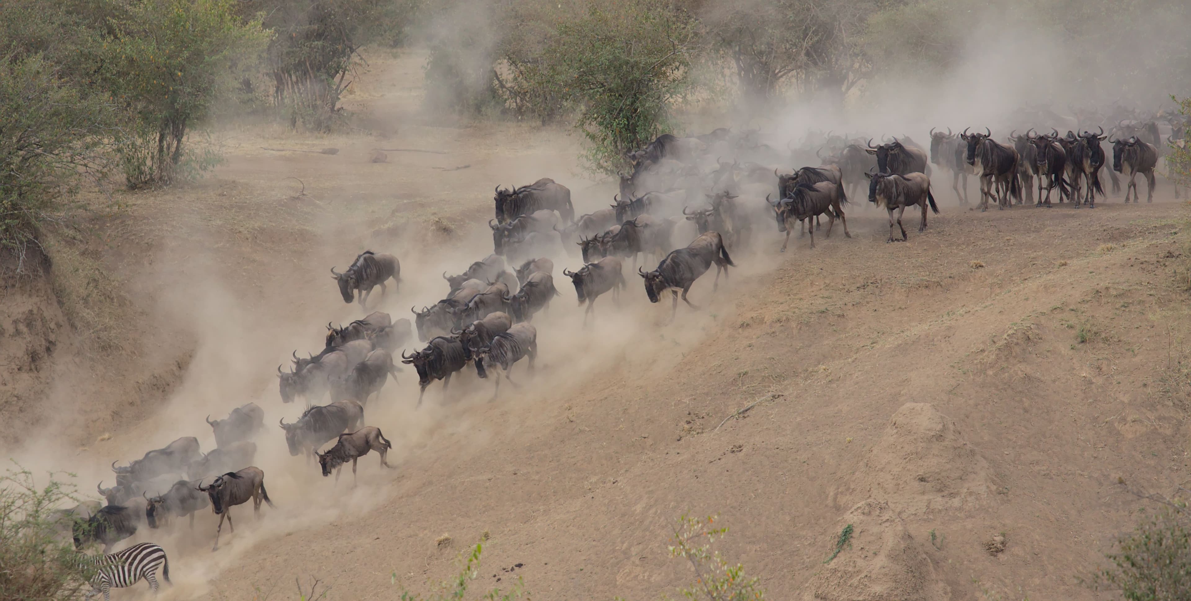 Kenya & Tanzania - 10 nights 5
