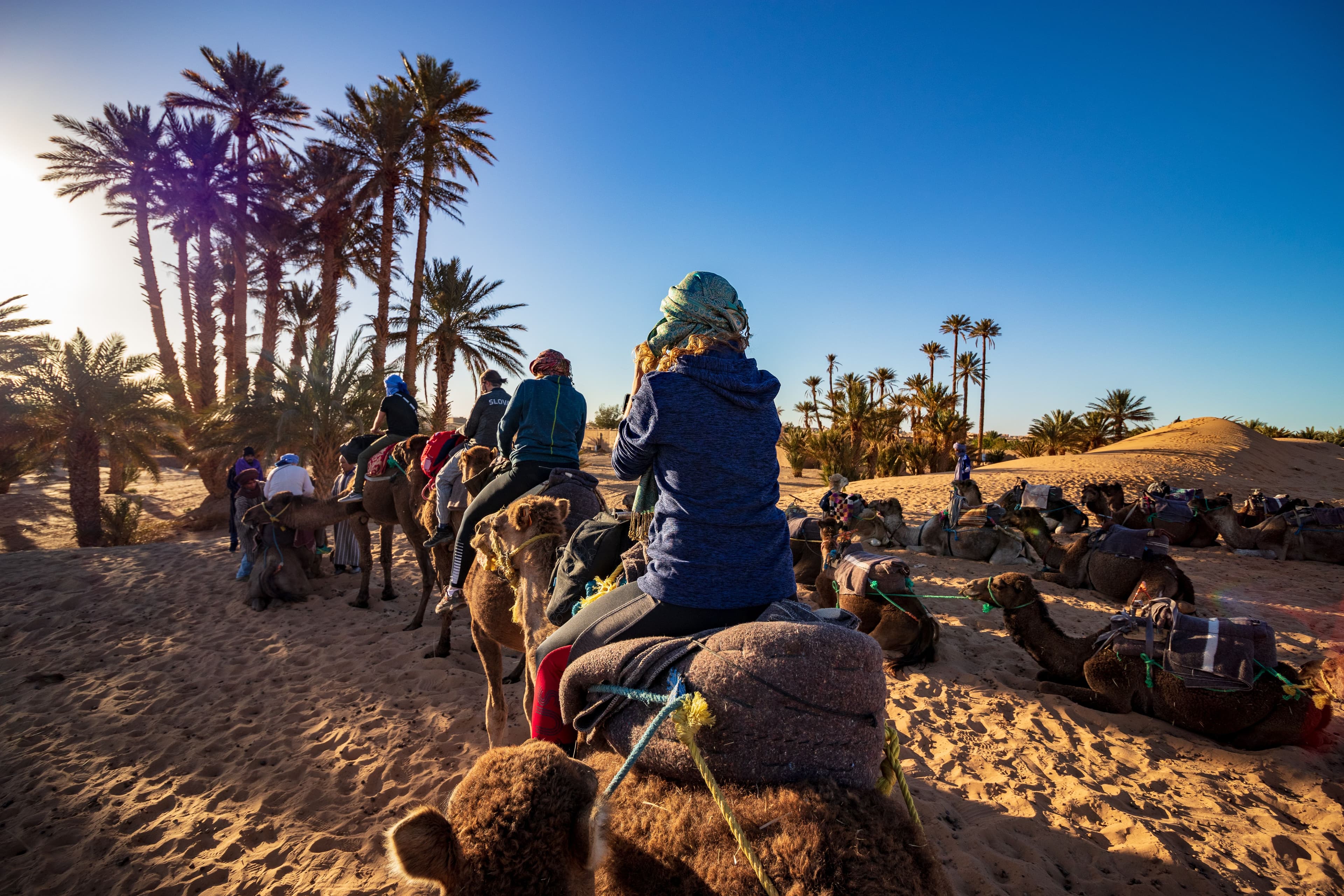 Stunning golden hour camel trek through the palm groves.