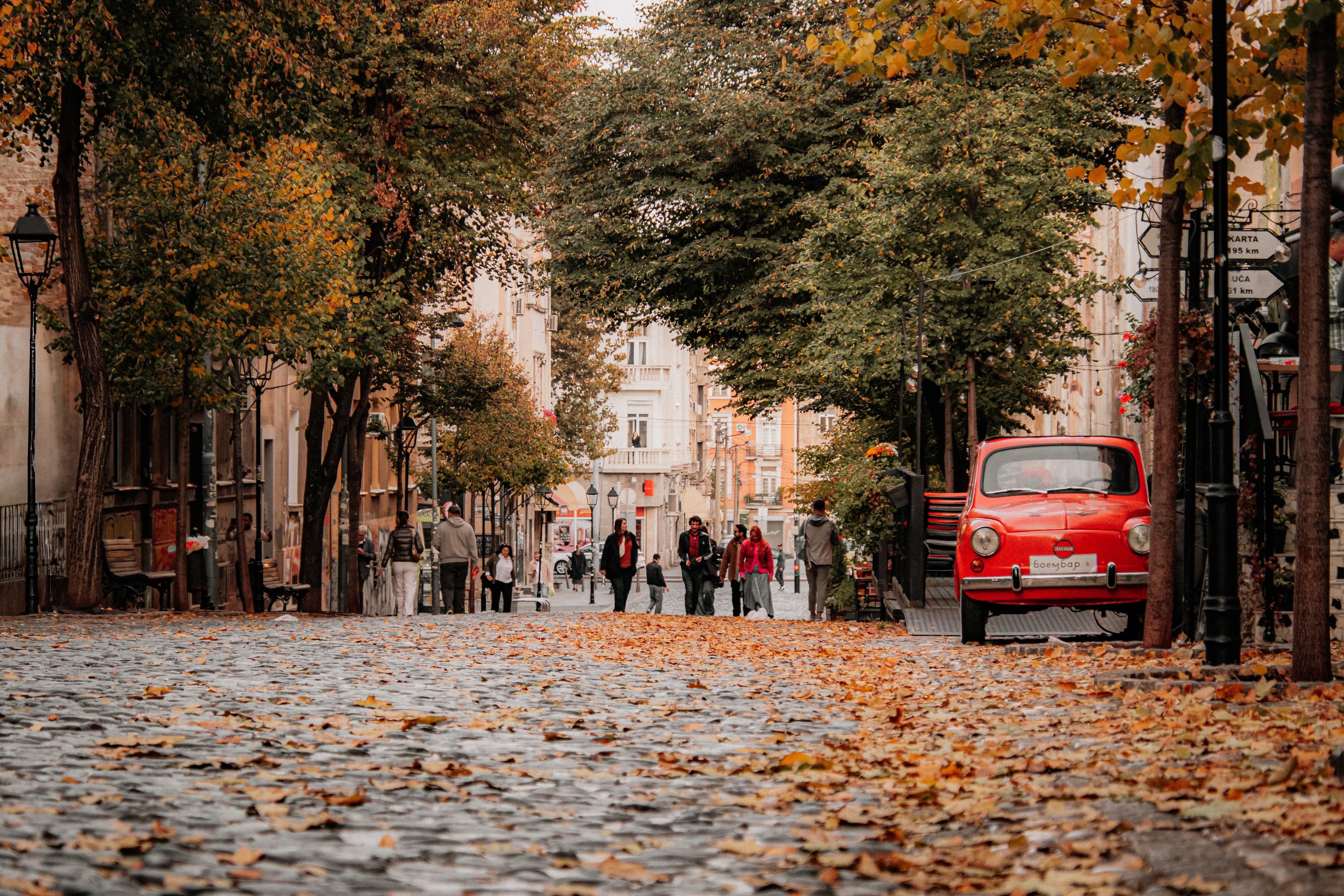 Belgrade, Novi Sad - 6 nights 6