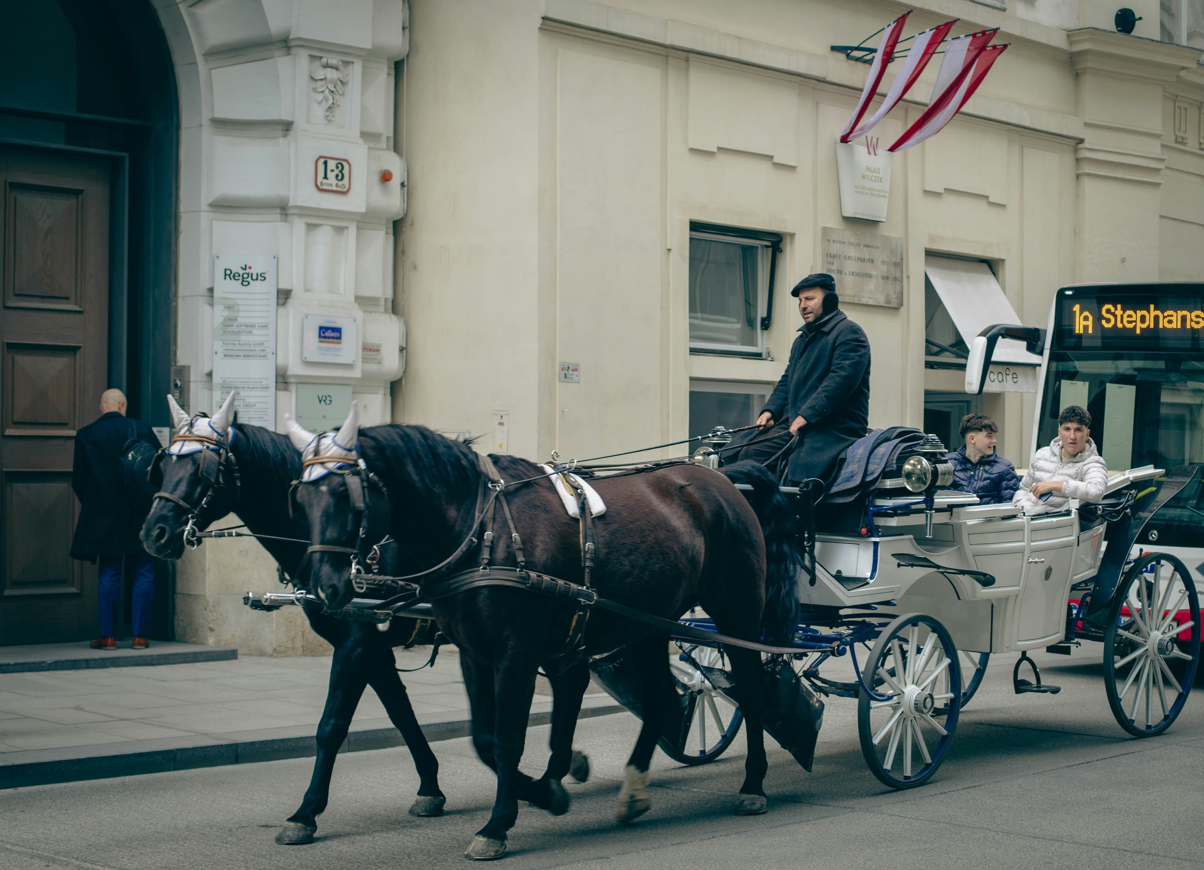 Vienna Package 9 Days 11