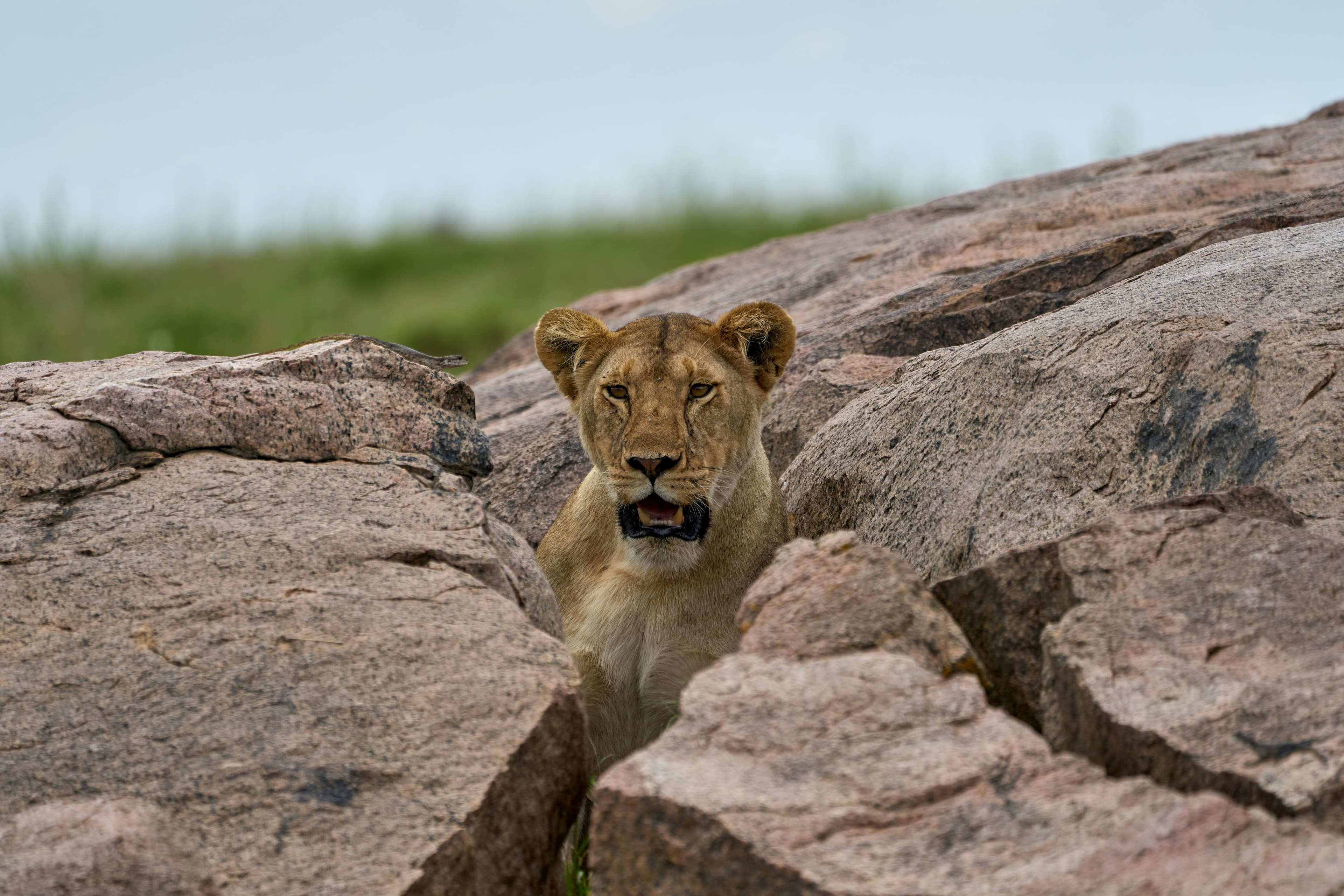 Kenya & Tanzania - 10 nights 7