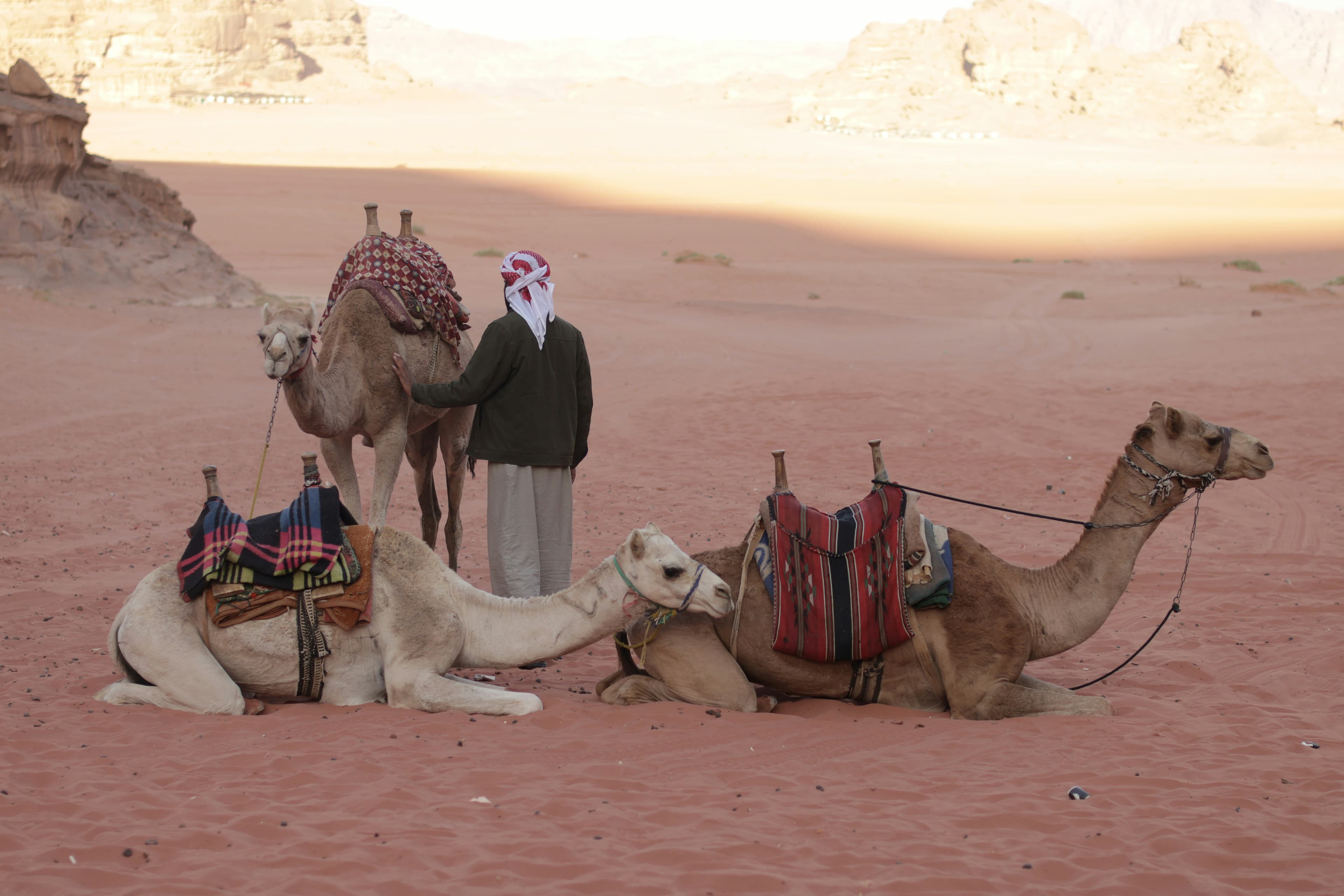 بكج مصر 7 أيام 10