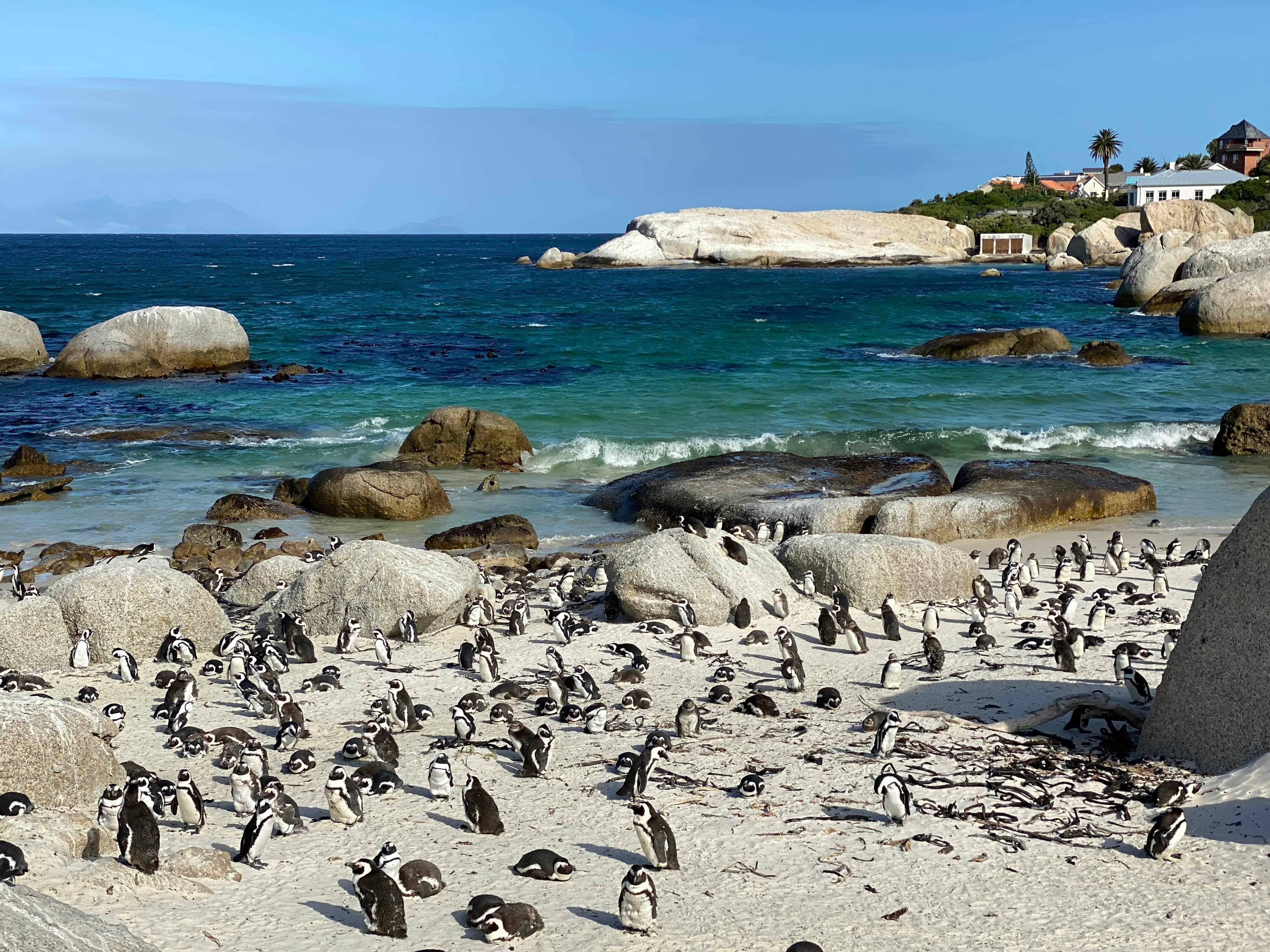 South Africa Package 14 Days 2