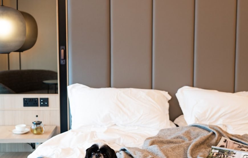 فندق Nobu Hotel London Portman Square